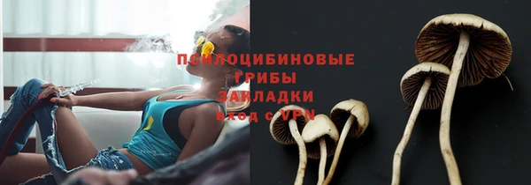 PSILOCYBIN Верея