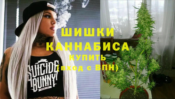 PSILOCYBIN Верея