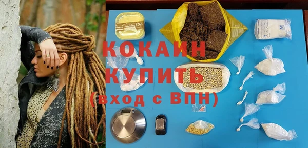 PSILOCYBIN Верея