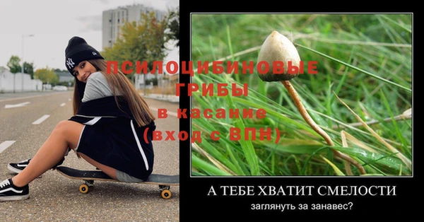 гашик Верхний Тагил