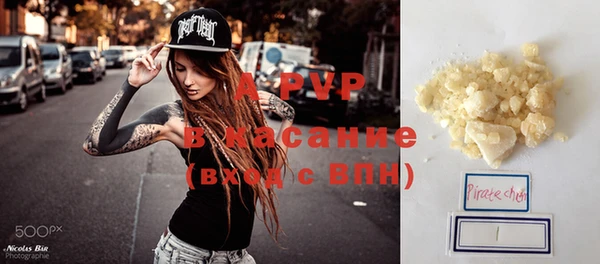 PSILOCYBIN Верея