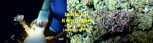 PSILOCYBIN Верея